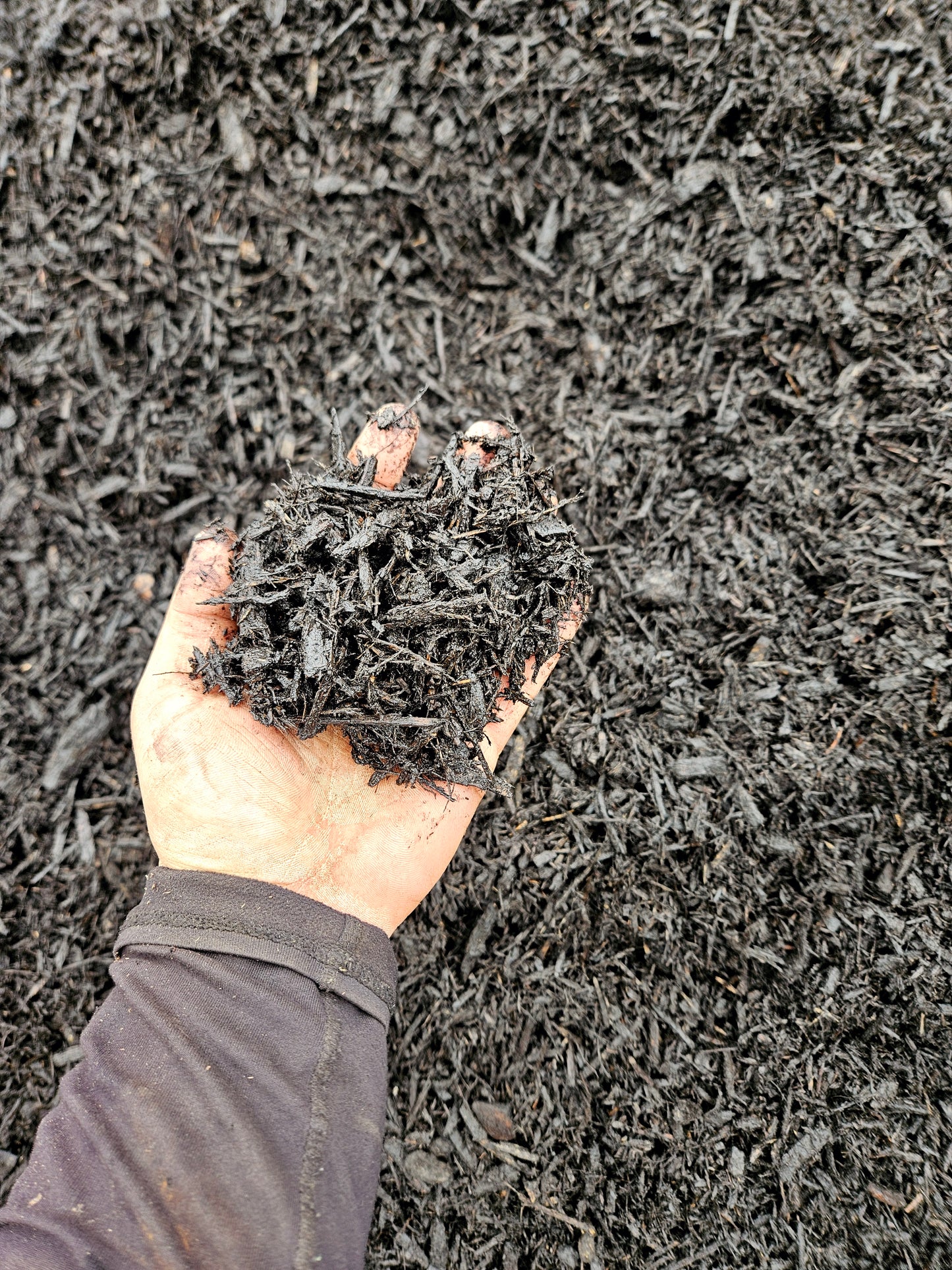 Double Shredded Mulch - Black (sold per cubic yard)