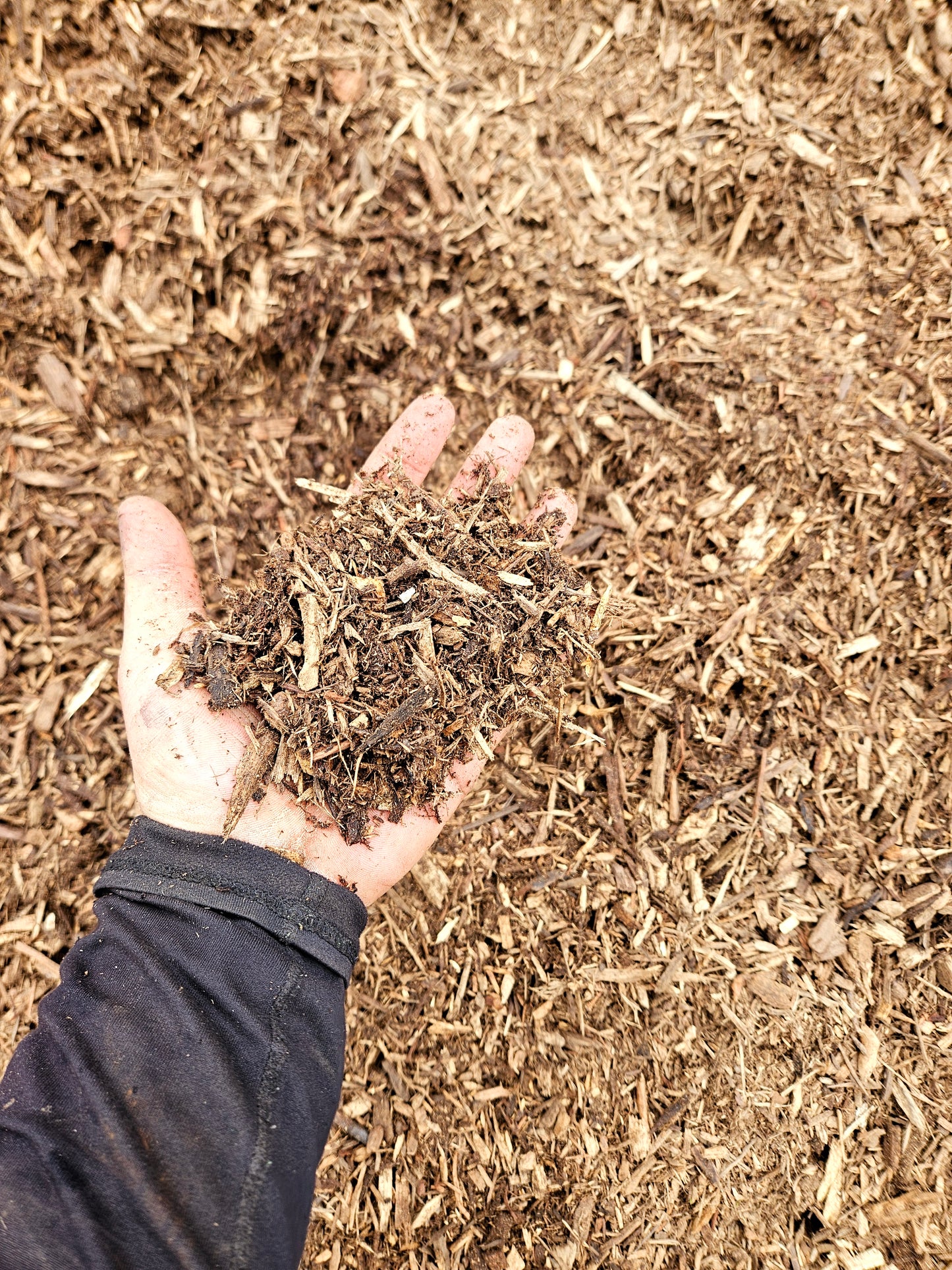 Double Shredded Mulch - Natural (sold per cubic yard)